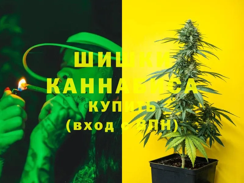 Шишки марихуана Ganja  Гвардейск 